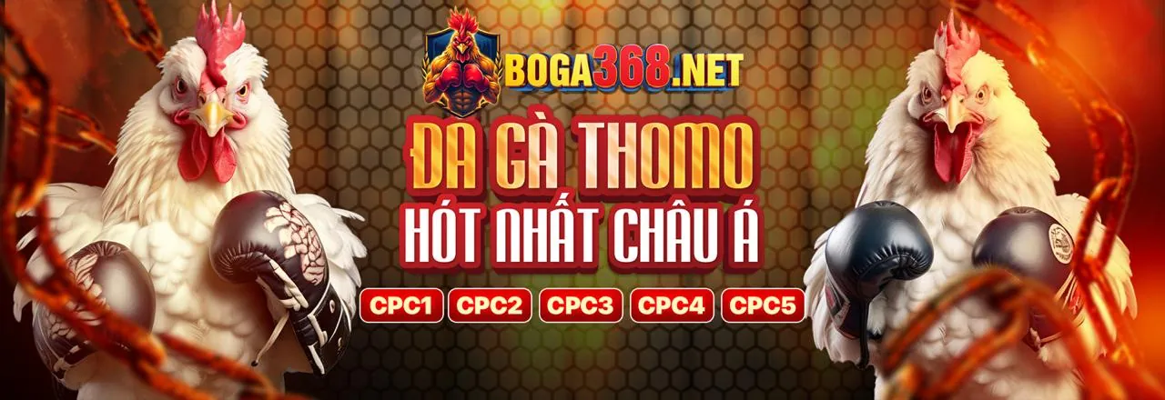 Cá Cược Thể Thao mb661